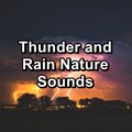 Thunder and Rain Nature Sounds