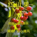 云心随风 - 红山果
