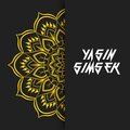 Yasin Şimşek - Deli Miyim Ben