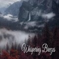 Paz Nirvana、Easy Listening Background Music、Mantra para Meditar、Ana Berroa - Find Peace