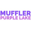 Muffler - Lies Well Disguised