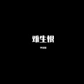 李诗情 - 难生恨