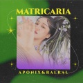 MATRICARIA