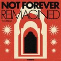 All We've Got (Nitepunk Remix)