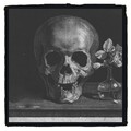 Kill Dusty - Dark Sides