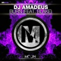DJ Amadeus、blake - Burn