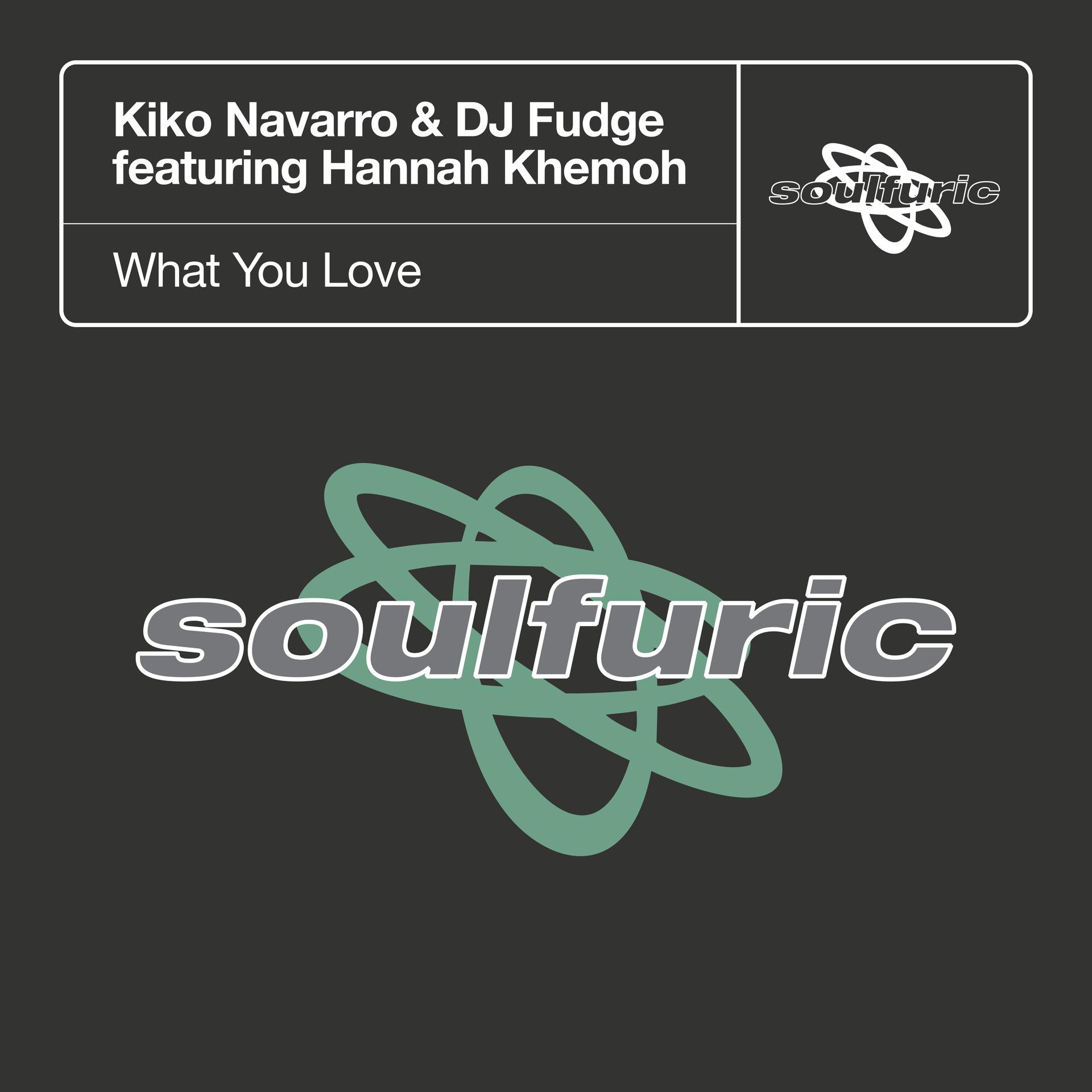 Fudge、Kiko Navarro、Hannah Khemoh - What You Love (feat. Hannah Khemoh)