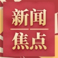 好书精读 - 挪用百万公款整形、买包，江苏一90后“白富美”被查