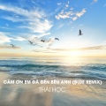 Thái Học - Cảm Ơn Em Đã Đến Bên Anh (Blue Remix)