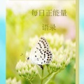 美慧子 - 优秀的背后无它，唯自律而已