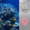 Underwater Relaxing Sounds Vol. 2