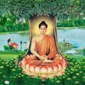 马三幽默笑话 - 一个人再老实，也不要在这3件事上软弱