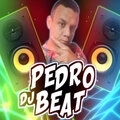 Dj Pedro Beat、Mc Nauan、Mc Pikena - ESPELHO MEU X VAI SENTANDO SUA CAVALA