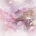 金木楠 - 谭炎健 - 明月证