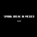 SPRING BREAK IN MEXICO (DJ版)