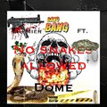 No Snakes Allowed (Explicit)
