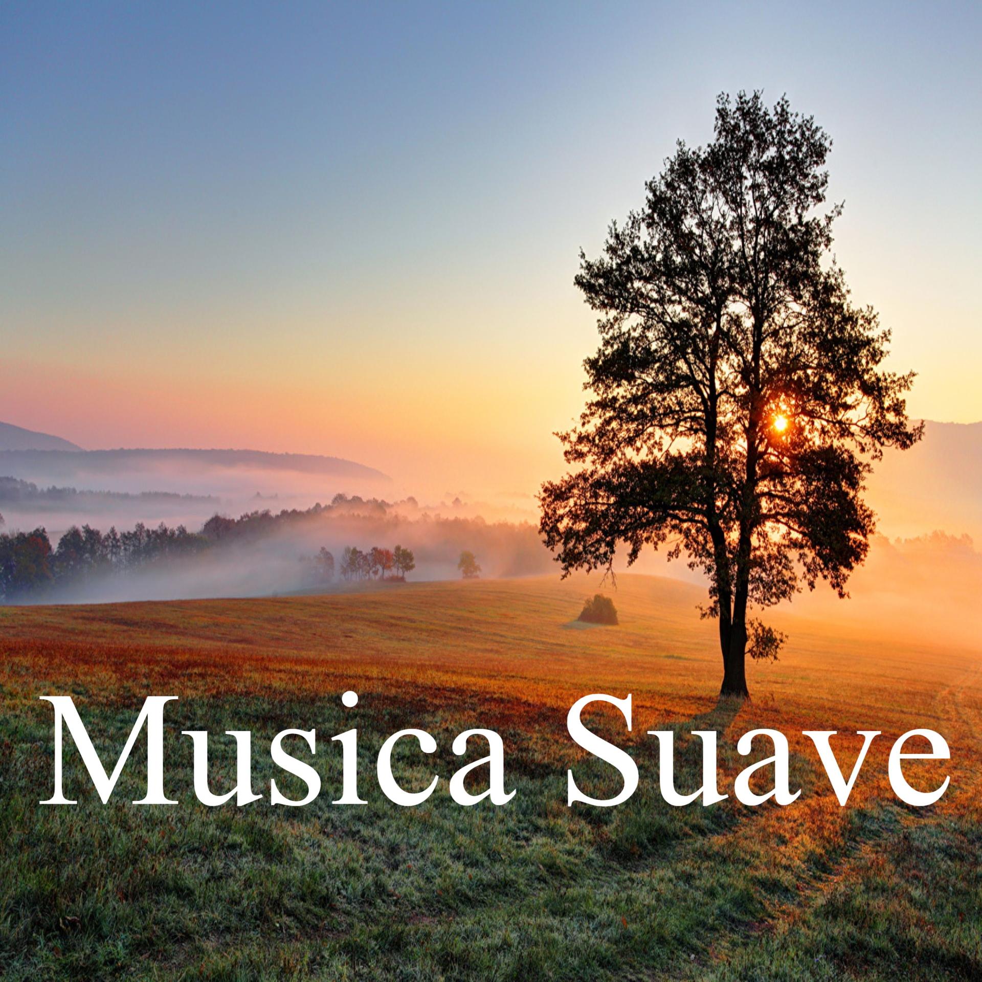 Melodías Suaves - Melodías Madrugadora