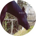 Various Artists、Bosconi Westbury Music Publishing、Eduardo de la calle - Virata Rupa (Original Mix)