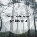 Rain Paris、Sounds of Nature Noise、The Sound of the Rain - Forest Rain Sound for Insomnia - 2 Hours