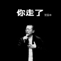 贺国丰 - 你走了