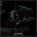 Burak Balkan - Behram (单曲)
