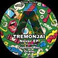 Tremonjai - Looking to Infinity (Orignal Mix)