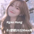 Ngau Hung (DJ雪糕 Rmx)