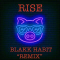 Porky Paul - Rise (BlakkHabitRemix)