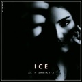 Akif Sarikaya - Ice