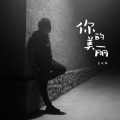 葛晓辉 - 你的美丽