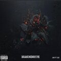 Drey、Caid - BRANDNEWHYPE (feat. Caid)(Explicit)