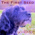 The First Seed - M4C4R0N1