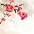 东皇落笙 - 桃花诺