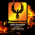 Can't Give You