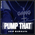Akif Sarikaya - Pump That