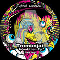 Tremonjai - Is not then (Original Mix)