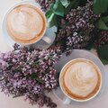 Lavender Fragrance for Relaxation