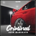 Akif Sarikaya - Criminal