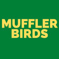 Muffler - Birds