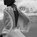 留不住你的温柔 (DJ R7版)