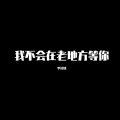 李诗情 - 我不会在老地方等你 (DJ版)