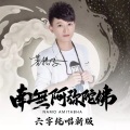 菩提子 - 南无阿弥陀佛