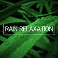 Nature Sounds Worldwide - Calming Summer Rain