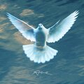 Are - The Holy Spirit