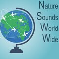Nature Sounds Worldwide - Birds and Frogs