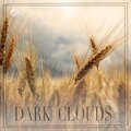 Rain & Thunder - Zen Storm
