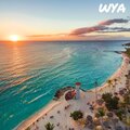 snoozegod - WYA