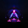 DillonCalm - lambda