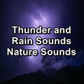 Thunder and Rain Sounds Nature Sounds