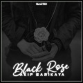Akif Sarikaya - Black Rose